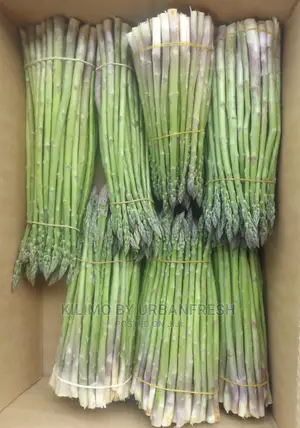 Fresh Premium Asparagus 500g 1kg 24hrs Delivery Time.