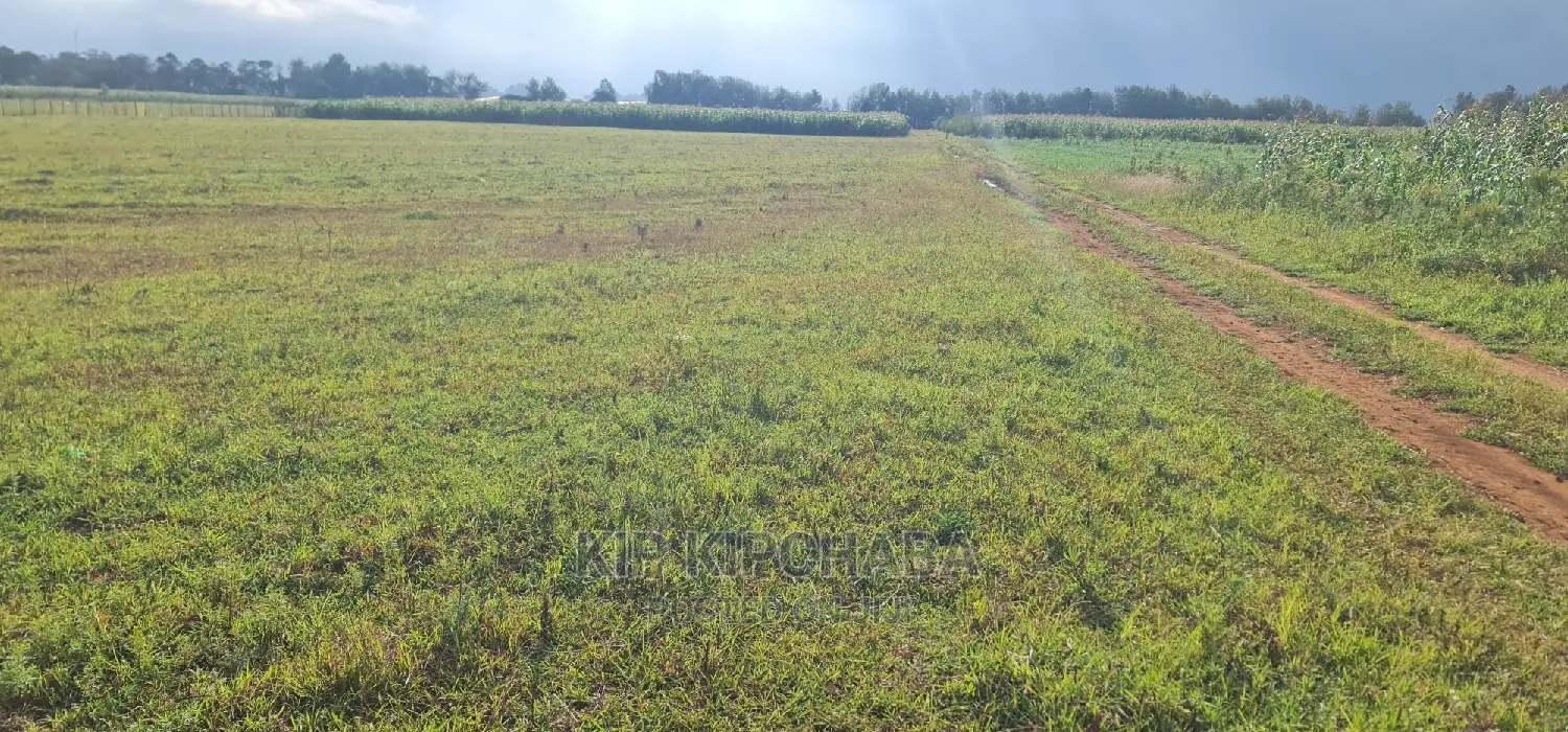 1⁄4 Plots for Sale in Kimumu Marura in Eldoret