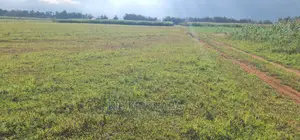 1⁄4 Plots for Sale in Kimumu Marura in Eldoret
