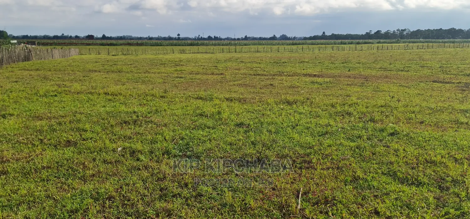 1⁄4 Plots for Sale in Kimumu Marura in Eldoret