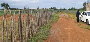 1⁄4 Plots for Sale in Kimumu Marura in Eldoret
