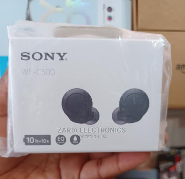 Sony Original Earbuds WF-C500