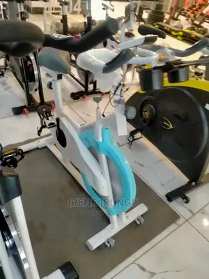 15kg Flywheel Spin Bike