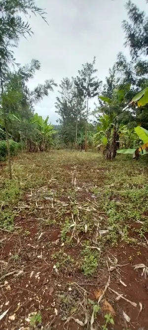 2 Acres of Land Available