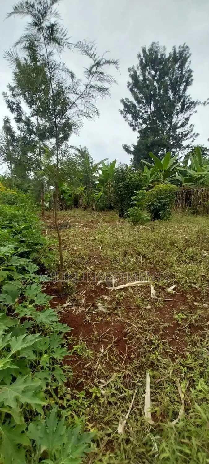 2 Acres of Land Available