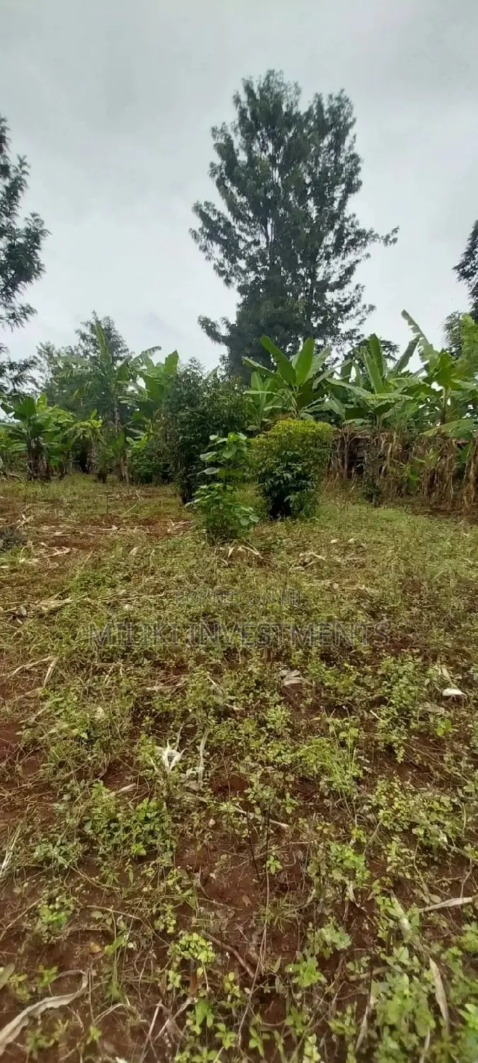 2 Acres of Land Available