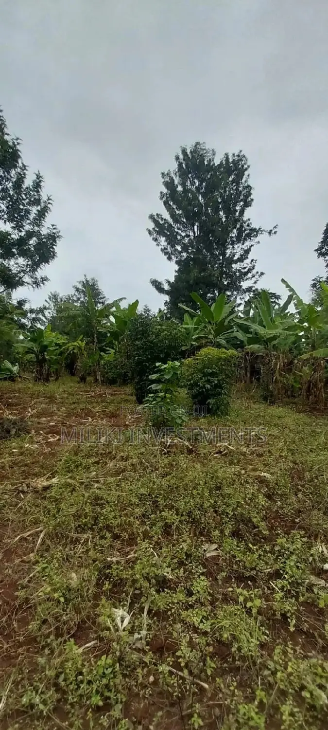 2 Acres of Land Available