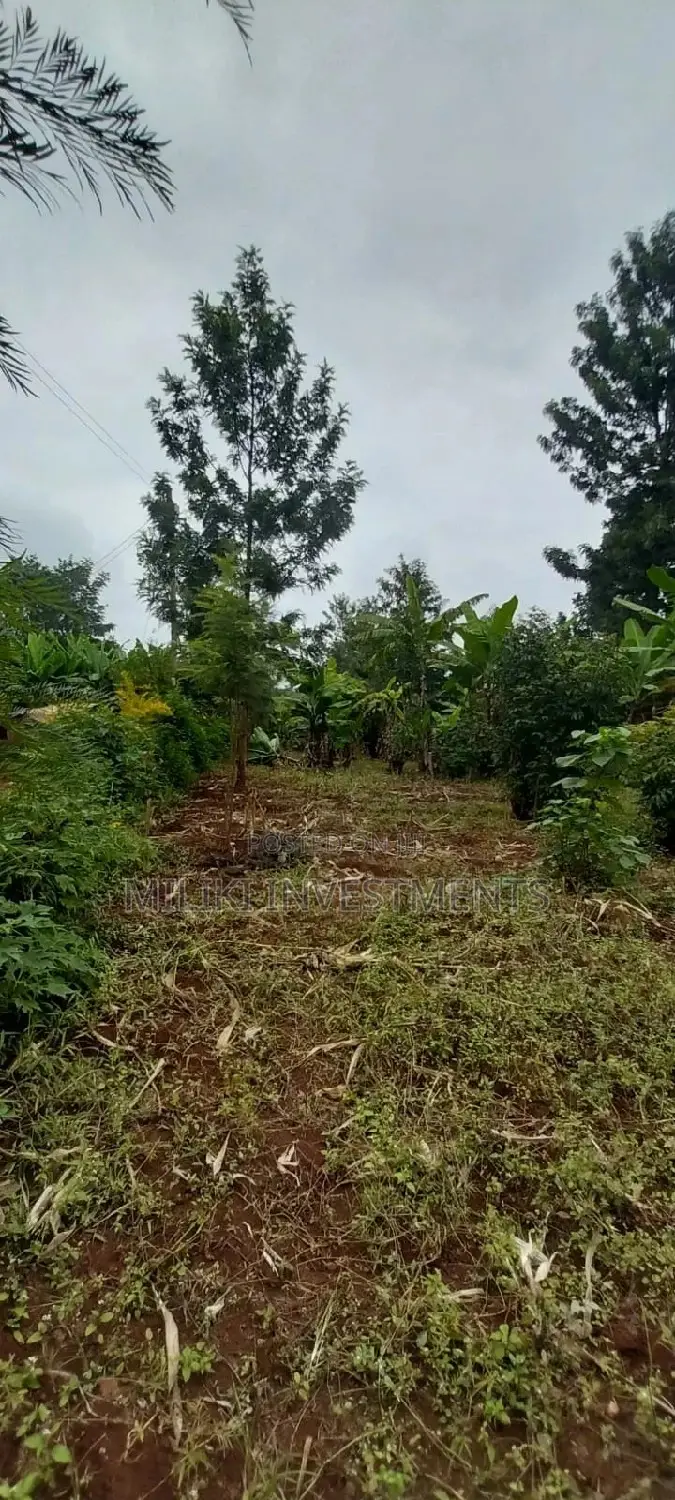 2 Acres of Land Available
