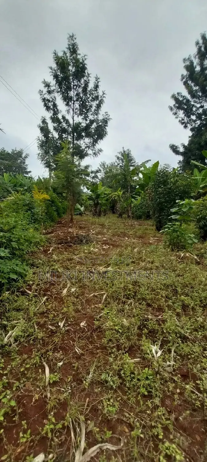 2 Acres of Land Available
