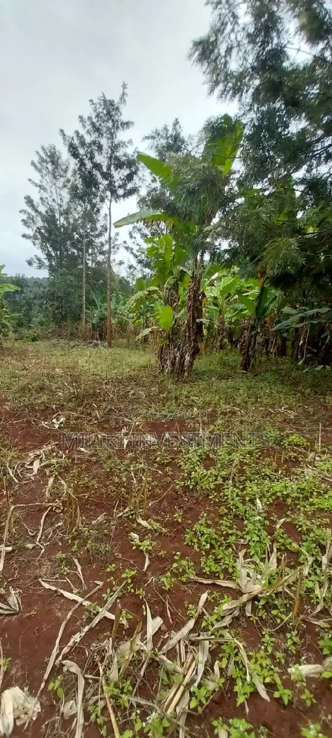 2 Acres of Land Available
