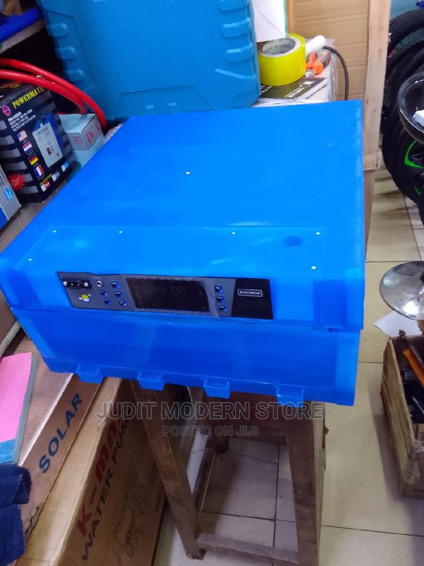 64 Eggs Incubator