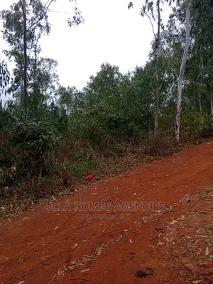 50 by 100 Plots at Konza,Katumani Road 