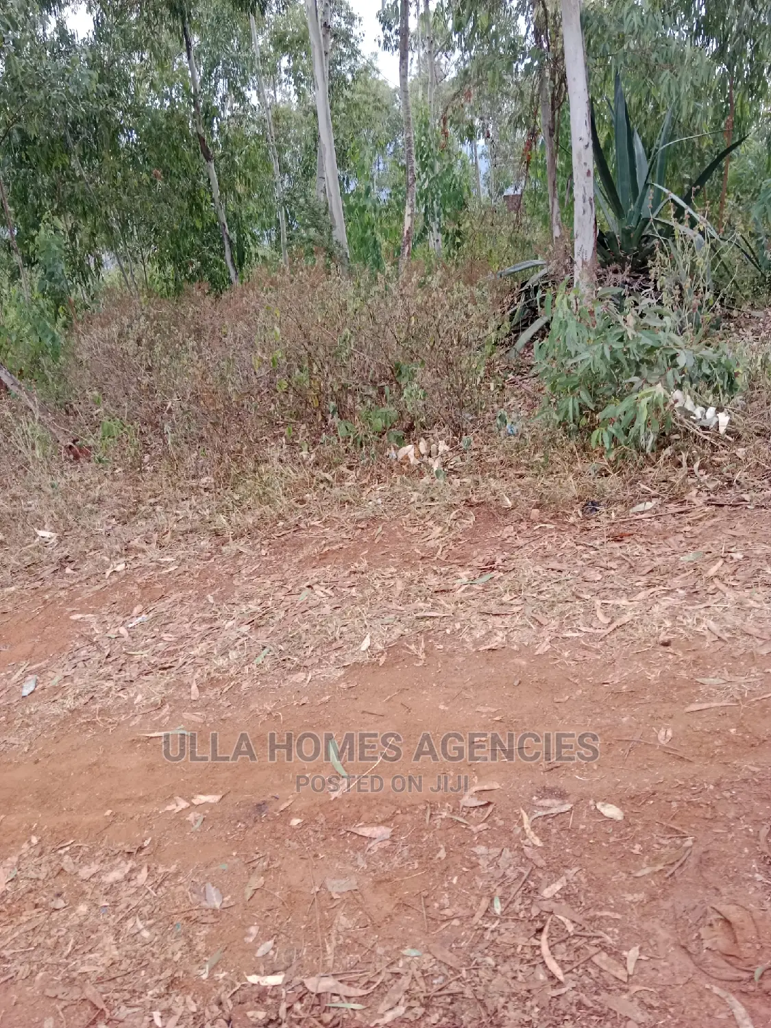 50 by 100 Plots at Konza,Katumani Road 