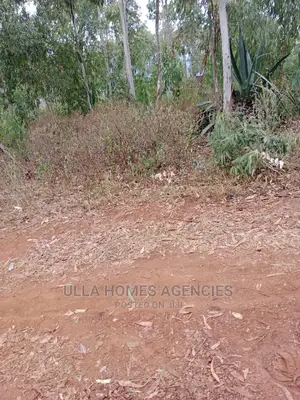 50 by 100 Plots at Konza,Katumani Road 