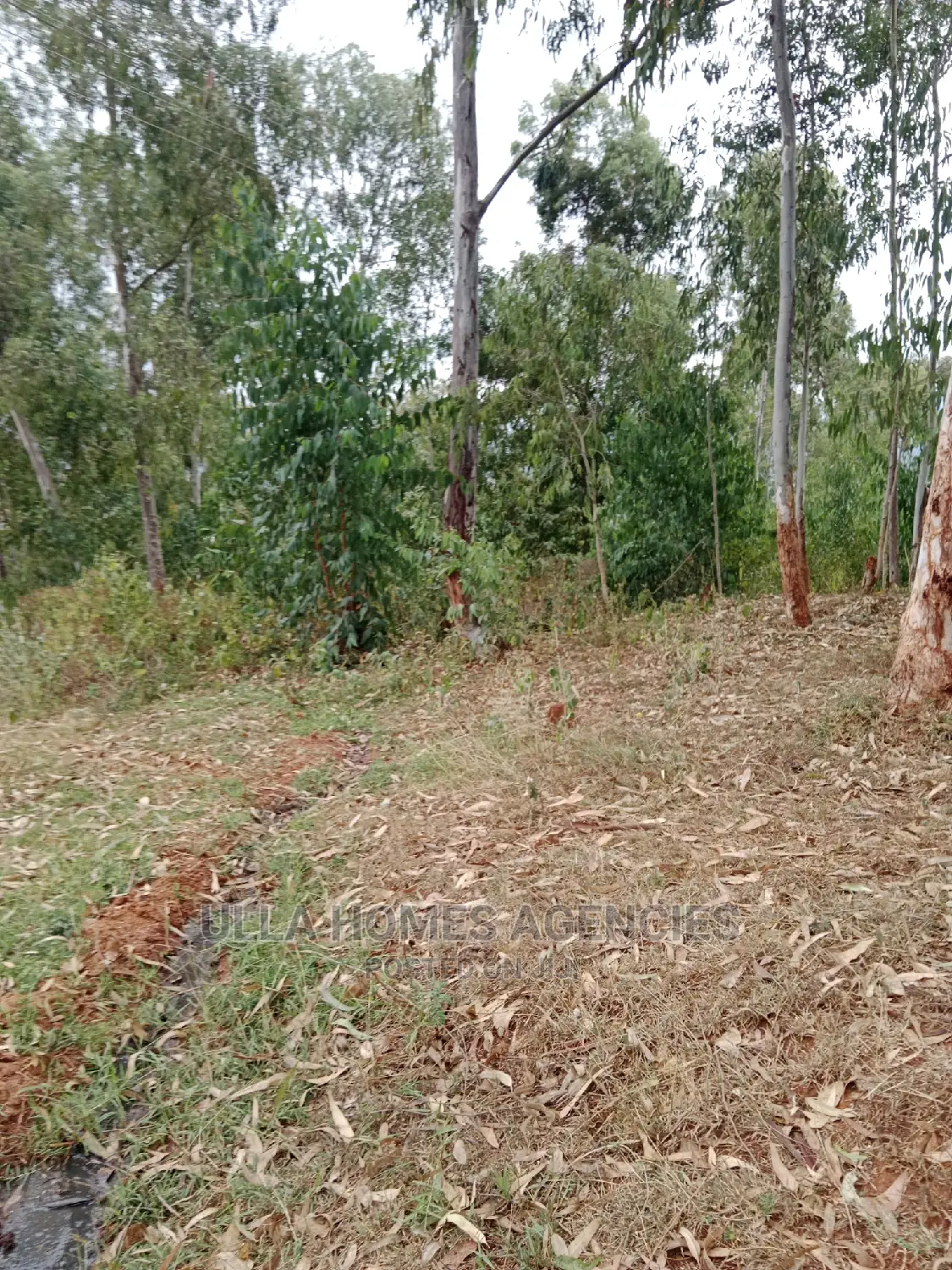 1 Acre Red Soil,At Yaitha, Machakos 1km From Tarmac