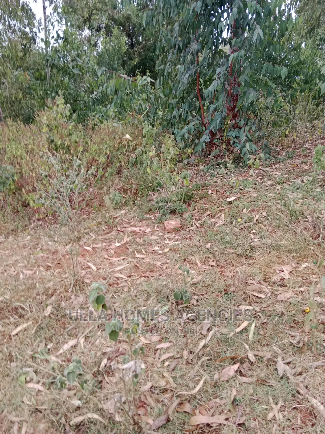 1 Acre Red Soil,At Yaitha, Machakos 1km From Tarmac