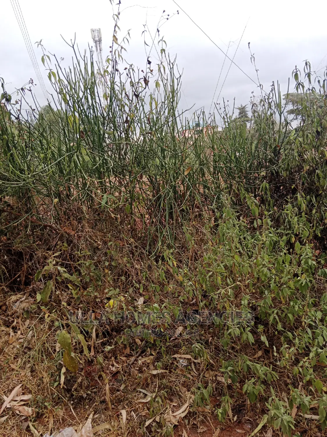 2 Acres at Lukenya,Quarry for Extracting Machine Cut,