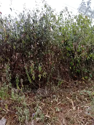 2 Acres at Lukenya,Quarry for Extracting Machine Cut,