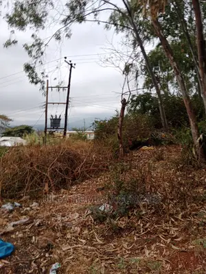 2 Acres,Near Vota Police Station,50 Metres From Tarmac