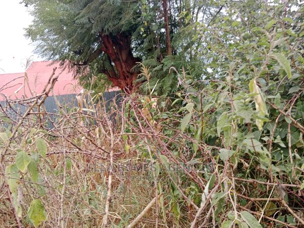 Half Acre at Mbembani,Machakos,1km From MKS/Wote Tarmac - thumbnail 2