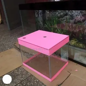 Pink Aquarium, Presents for Women and Ladies