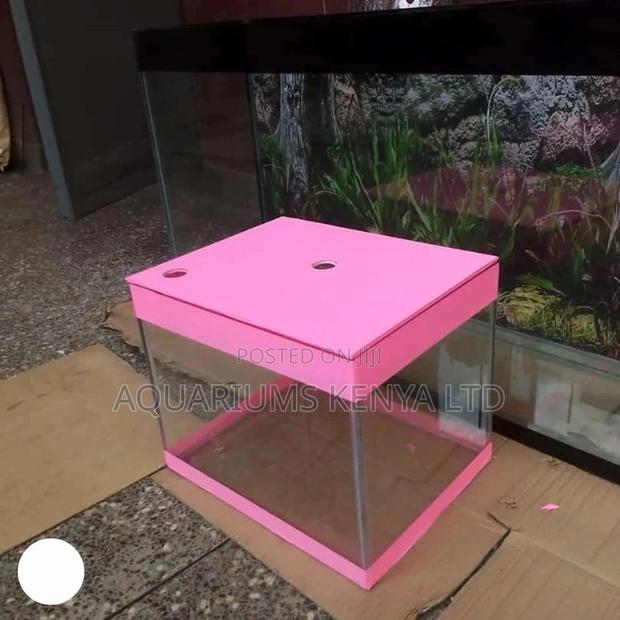 Pink Aquarium, Presents for Women and Ladies - main view