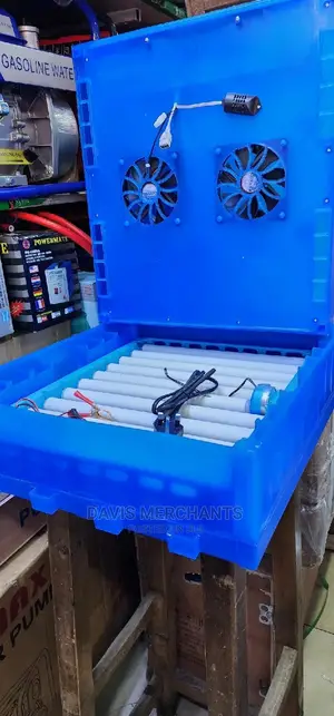 Eggs Incubator Automatic With Rolls Ac/Dc Power
