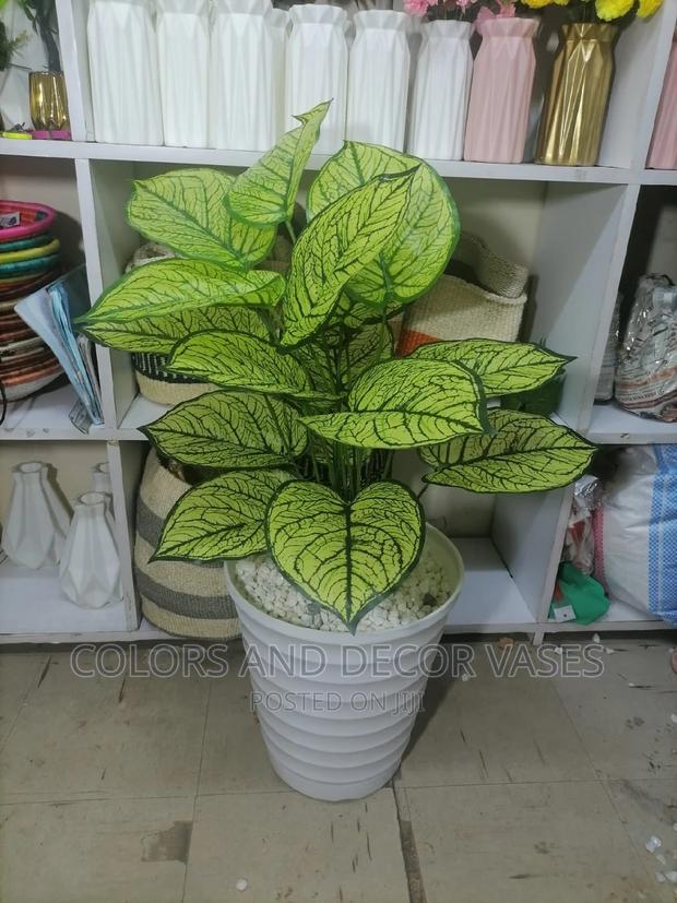 Beautiful Home Decor Plant and Vase - main view