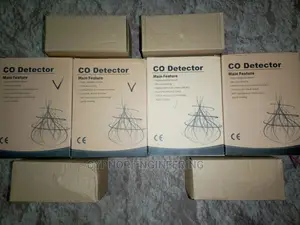 Household Gas Detector With Valve
