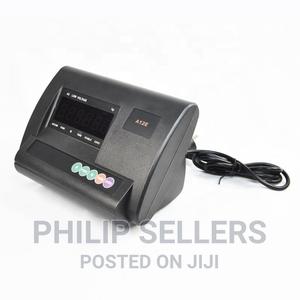 A12 Indicator Platform Scale - thumbnail 2