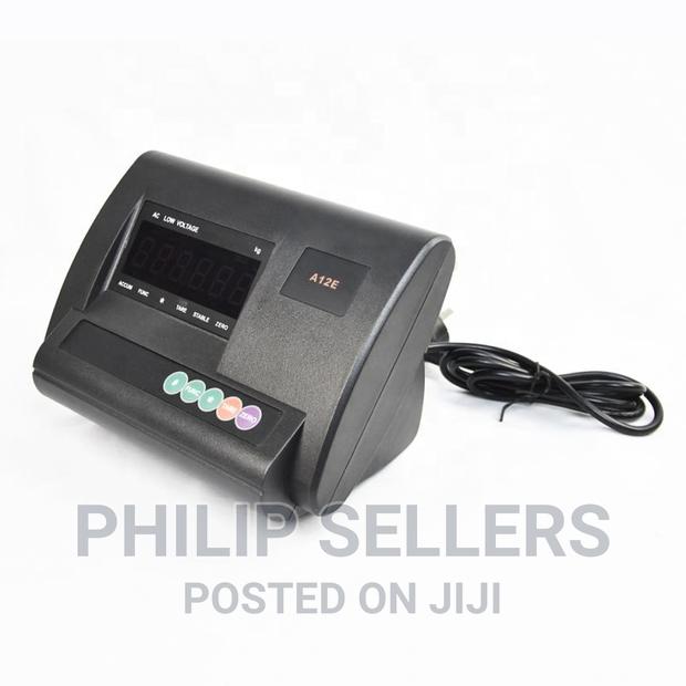 A12 Indicator Platform Scale - main view