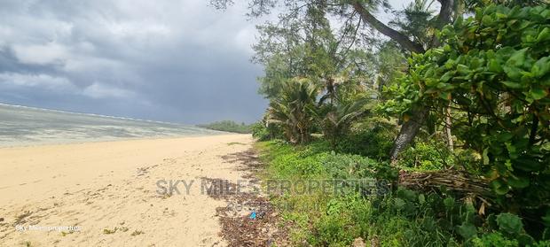 Kuruwitu,3.5 Acres Beach Property on Sale - thumbnail 4
