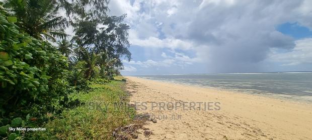 Kuruwitu,3.5 Acres Beach Property on Sale - thumbnail 5