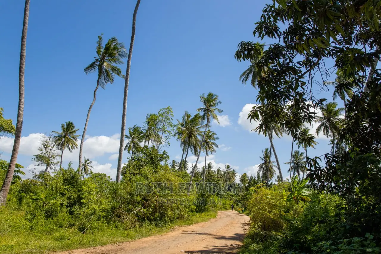 50 by 100 Galu (Diani) Plots for Sale