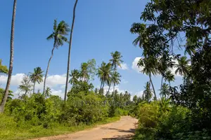 50 by 100 Galu (Diani) Plots for Sale