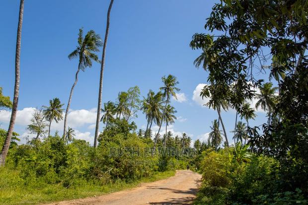 50 by 100 Galu (Diani) Plots for Sale - thumbnail 2