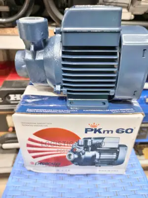 Davis and Shirtliff Pedrollo PKM 60 Water Pump Booster