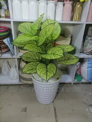 1.2m Plant With Long Vase