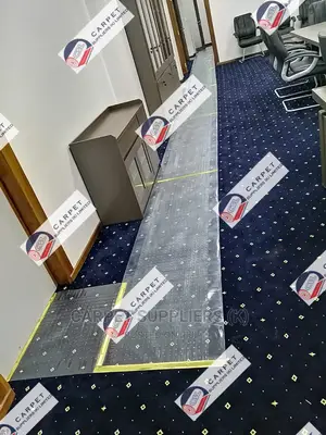 Carpet Protector16