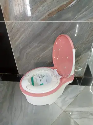 Toddler Potty Training Toilet