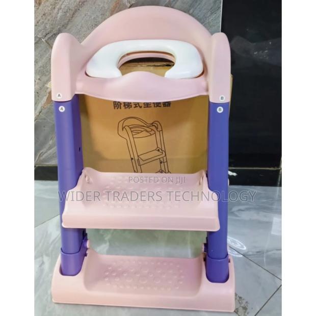 Toilet Ladder/Potty Trainer - main view