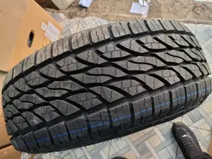 265/65r17 Aoteli Ecolander Tires Made in China