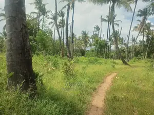 Takaungu (1/4 Acre) Beach Plots