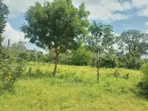 Takaungu (1/4 Acre) Beach Plots