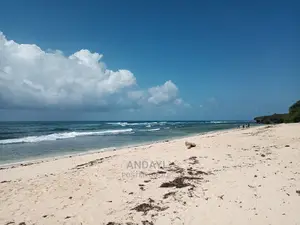 Takaungu (1/4 Acre) Beach Plots