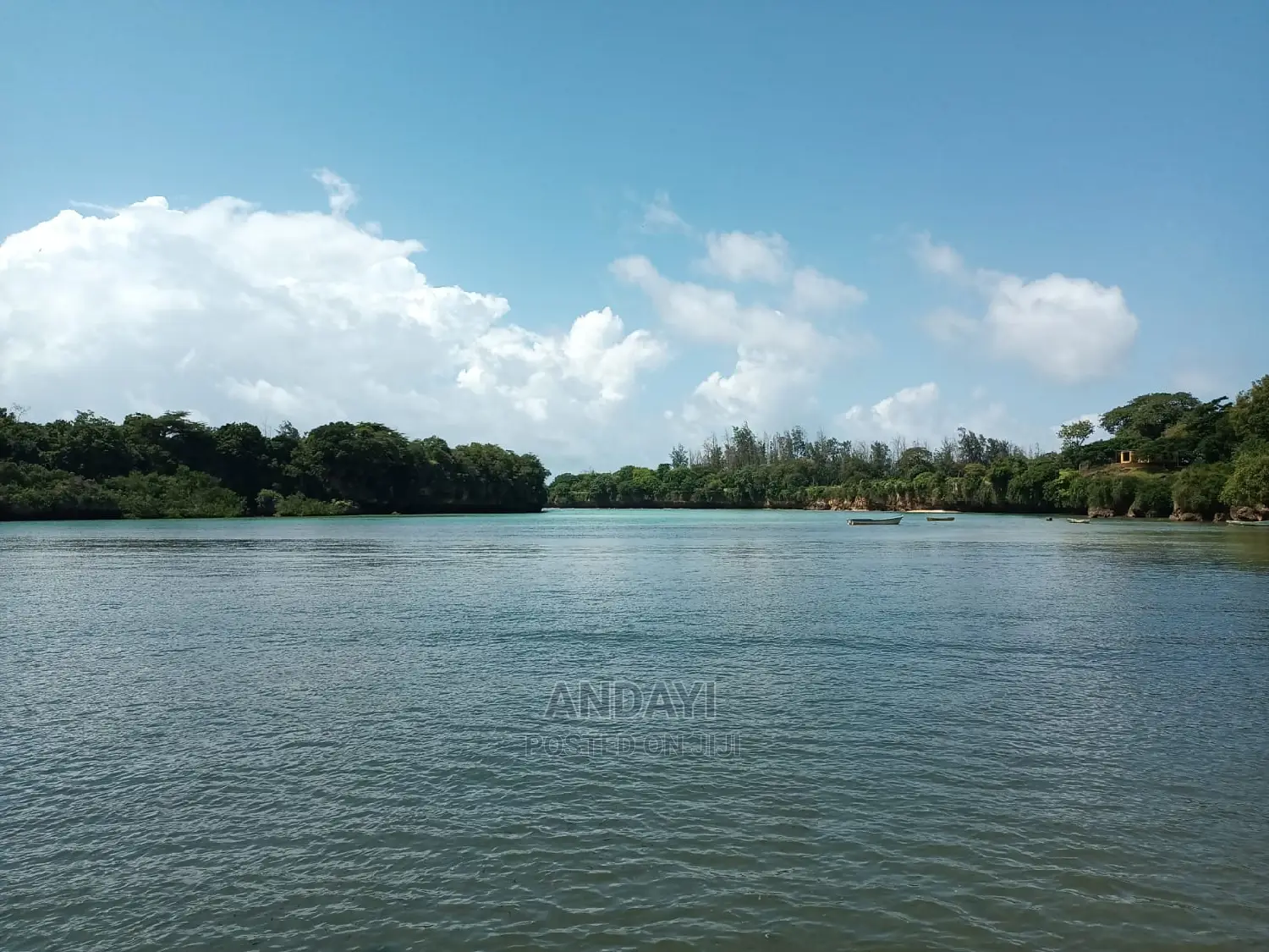 Takaungu (1/4 Acre) Beach Plots