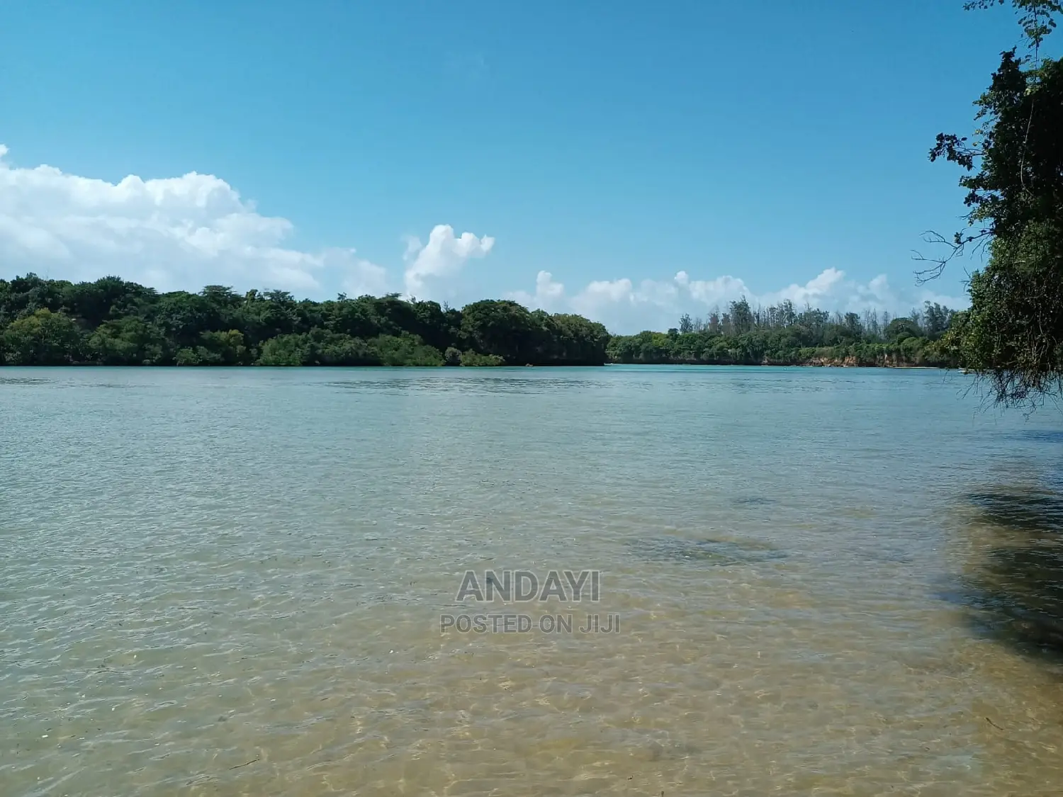 Takaungu (1/4 Acre) Beach Plots