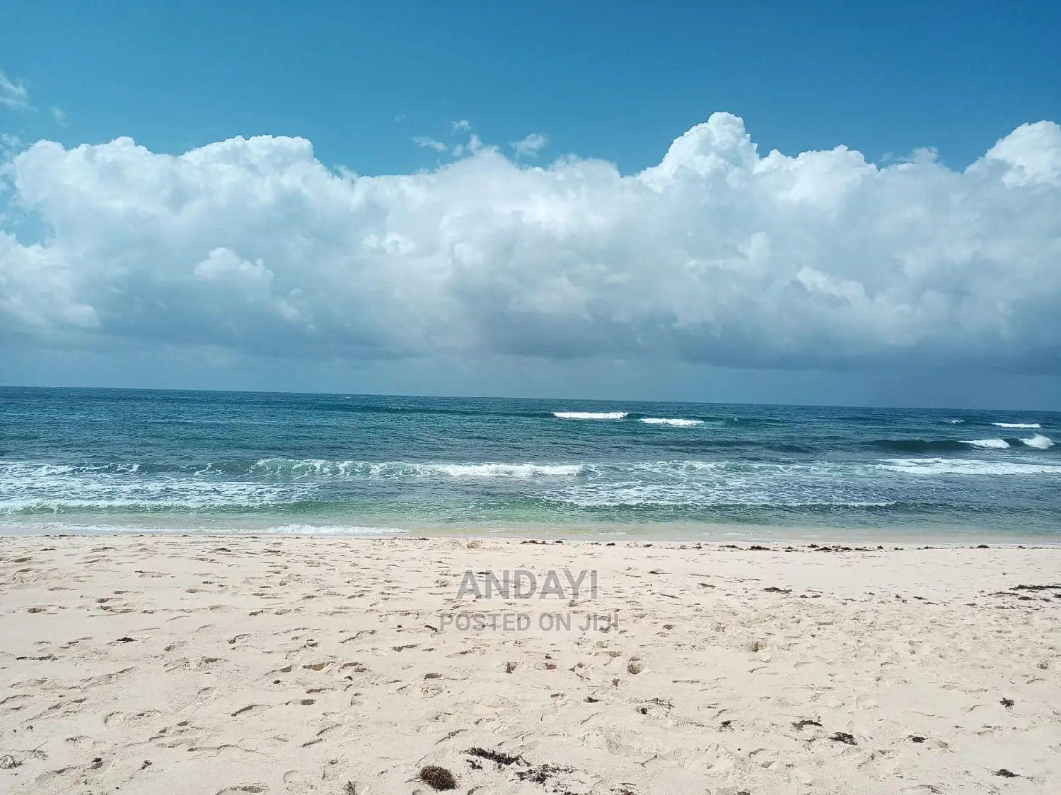 Takaungu (1/4 Acre) Beach Plots