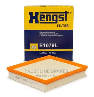 BMW Series 1,2,3,4, -Air Filter- Hengst E1079L