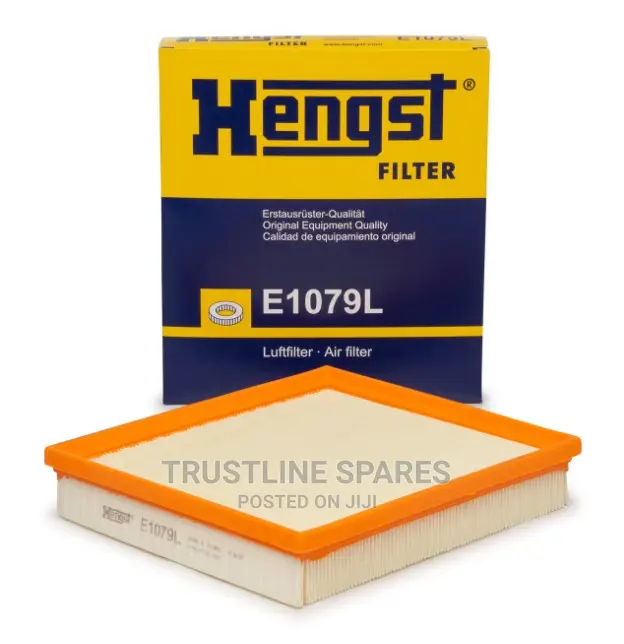 BMW Series 1,2,3,4, -Air Filter- Hengst E1079l